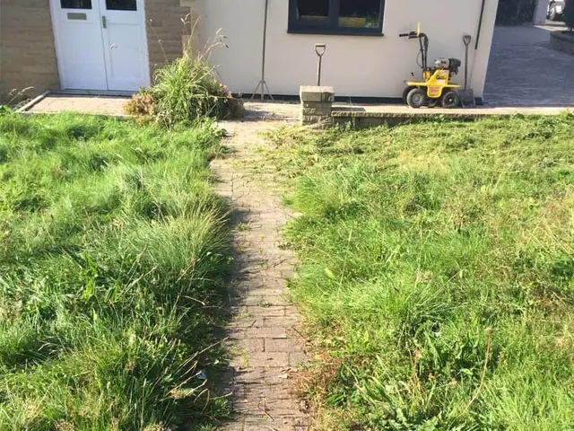 Front garden before: long, uneven grass either side of a narrow brick path to the front door