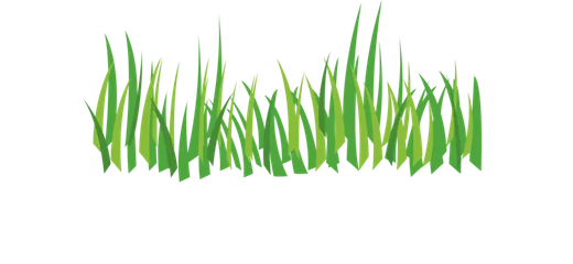 Elite Artificial Lawns