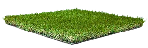 Sample of Harmony artificial grass, a 30mm pile, seen from the side